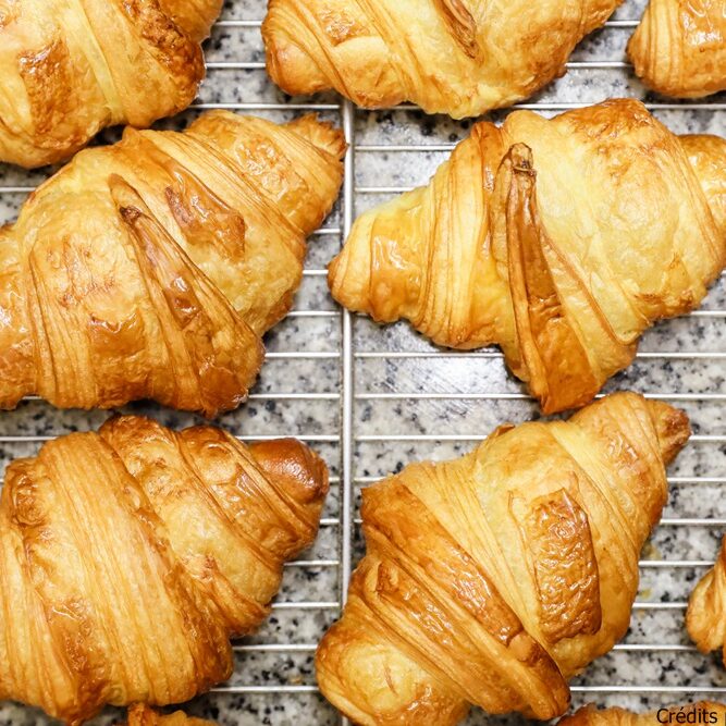 Croissants les sourires de Léa